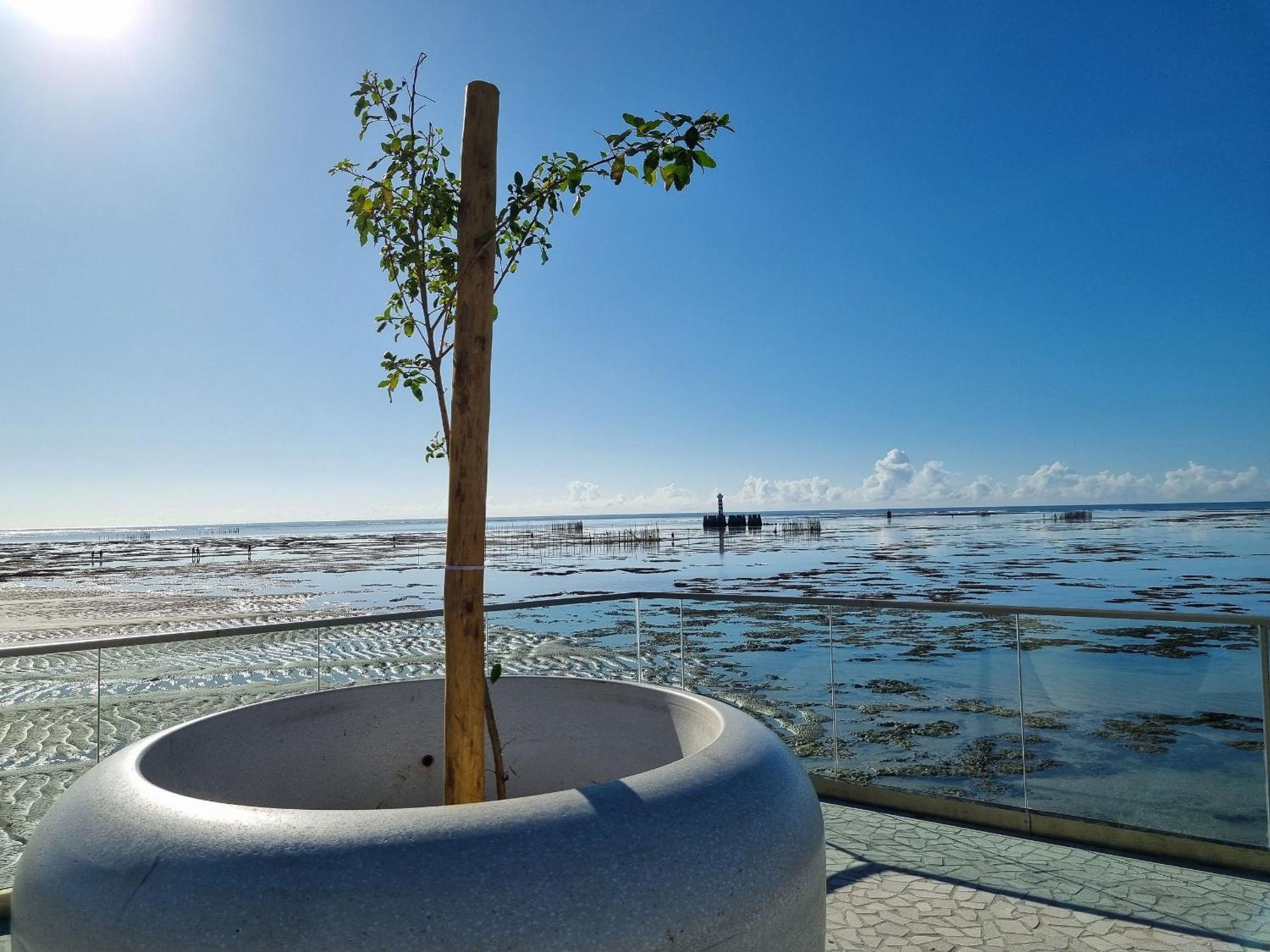 Flat Frente Mar C Limpeza Diaria | R601 Apartamento Maceió