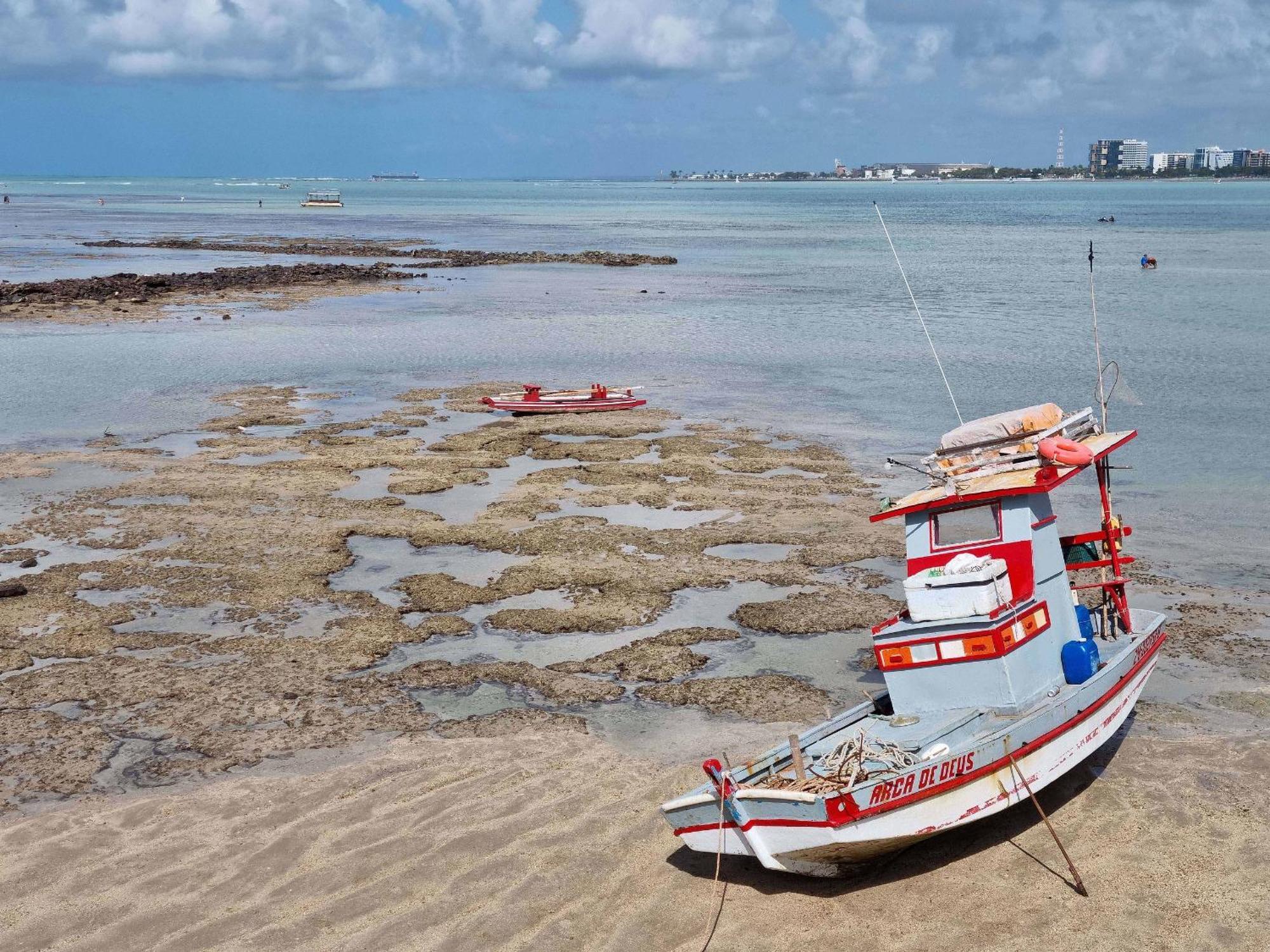 Flat Frente Mar C Limpeza Diaria | R601 *